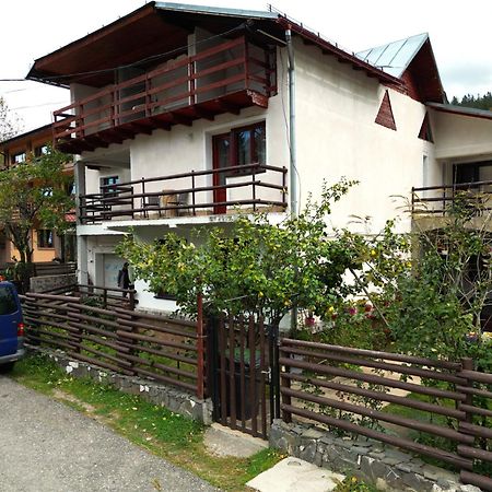 Vila Nik Busteni Bagian luar foto