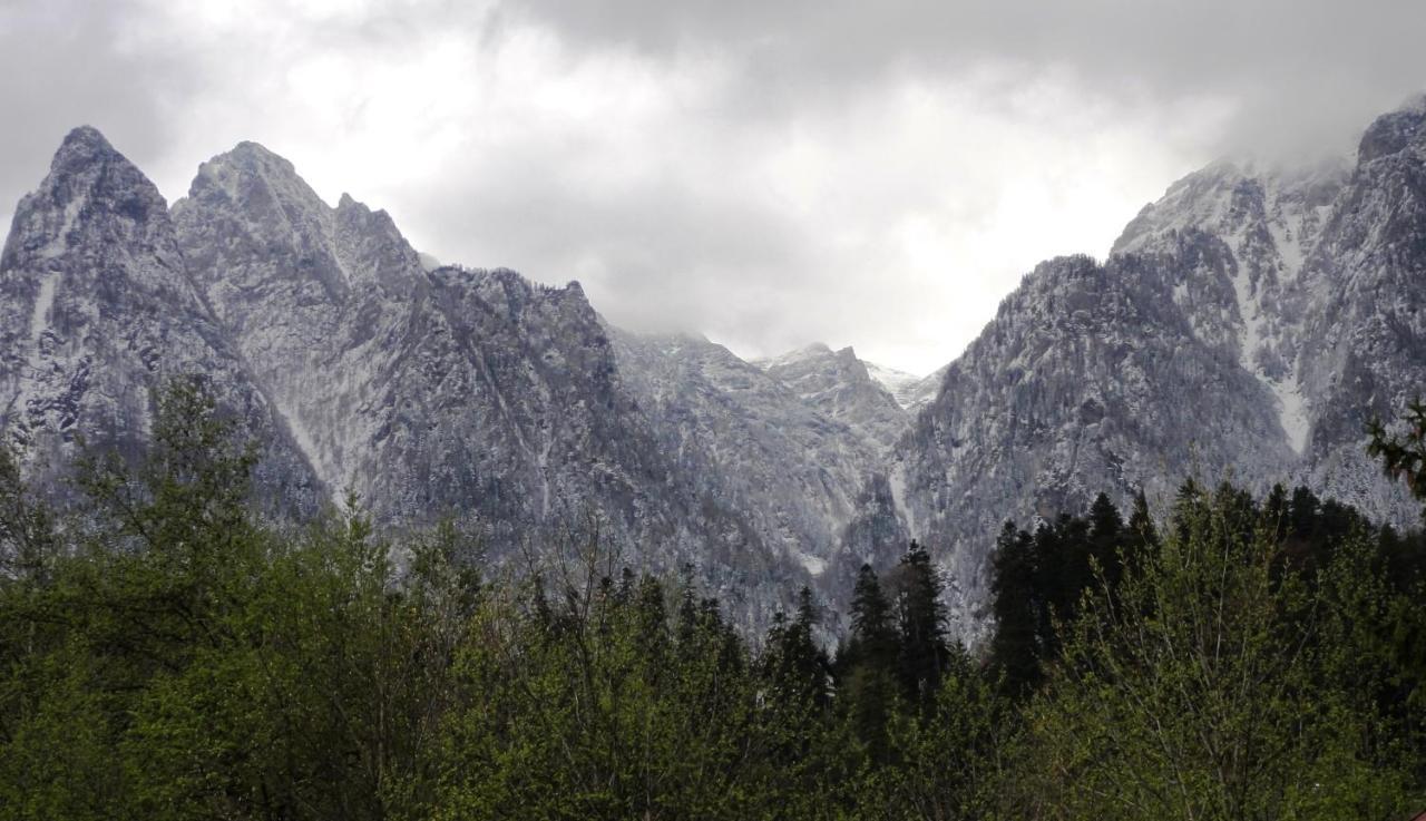 Vila Nik Busteni Bagian luar foto