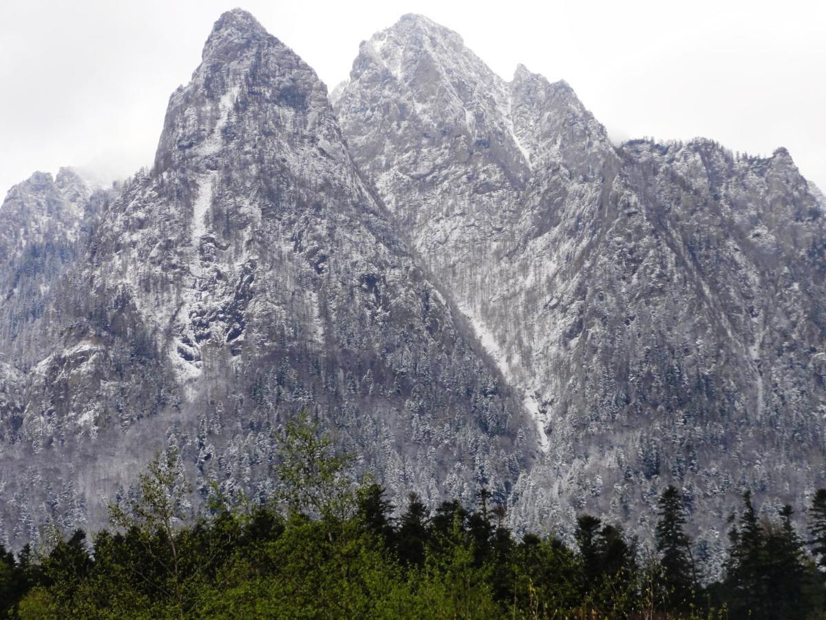 Vila Nik Busteni Bagian luar foto