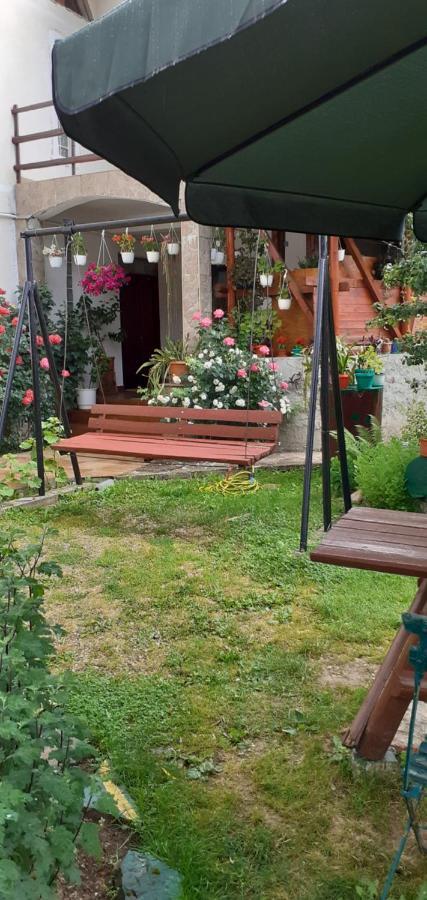 Vila Nik Busteni Ruang foto